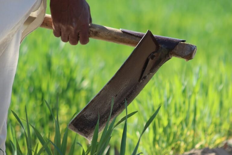 business evaluation for companies